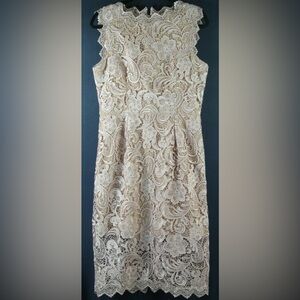 NEW Dress the Population Claudette Lace Sheath Dress in DUST Size XS